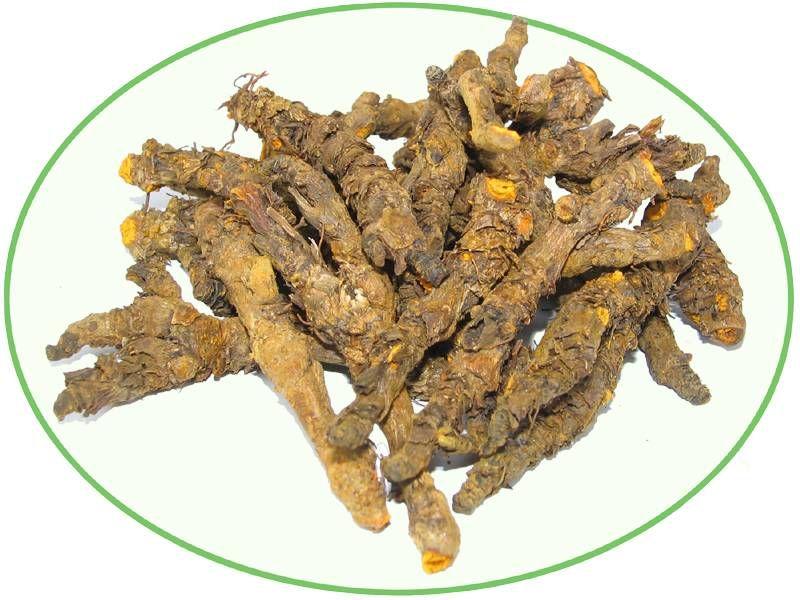 黄连的作用与功效及食用方法