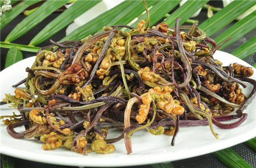 蕨菜是什么菜 蕨菜能够补脾益气