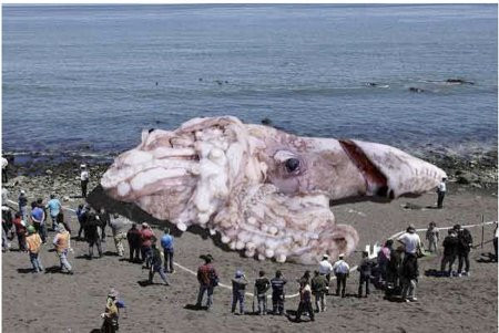 ѵһ ʵڵĹ