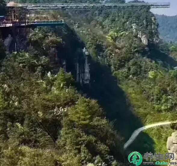 һȡżҽ粣ſֲһ ս