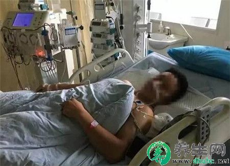 糊涂丈夫采野生菌为孕妻补身体 没想吃完双双进了医院