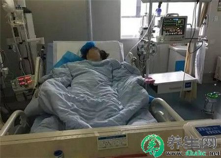 糊涂丈夫采野生菌为孕妻补身体 没想吃完双双进了医院