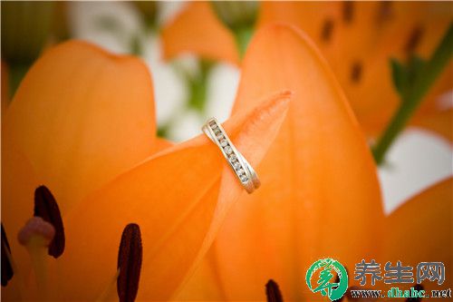 20178¶鼪ղѯ